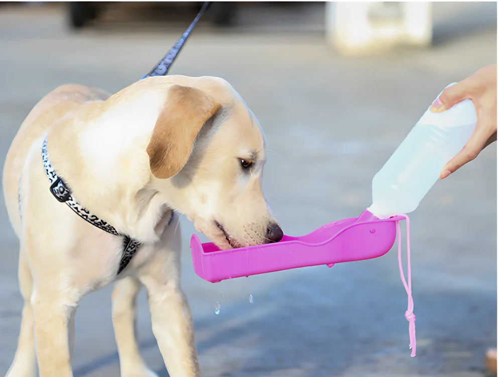 Portable and foldable pet water bottle with a capacity of 250ml, suitable for dogs, cats, and other pets