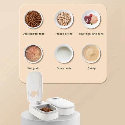 Automatic pet feeder with gravity-powered food and water dispensing system for cats and dogs