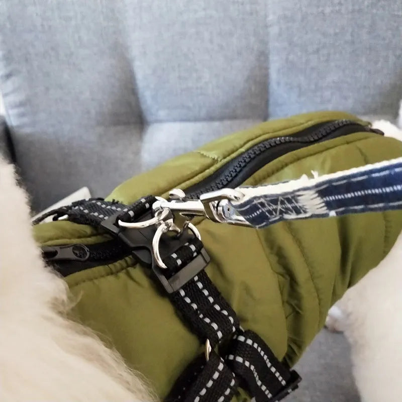 Red waterproof dog coat with built-in harness on a large dog, showing warm lining and sizing for winter.