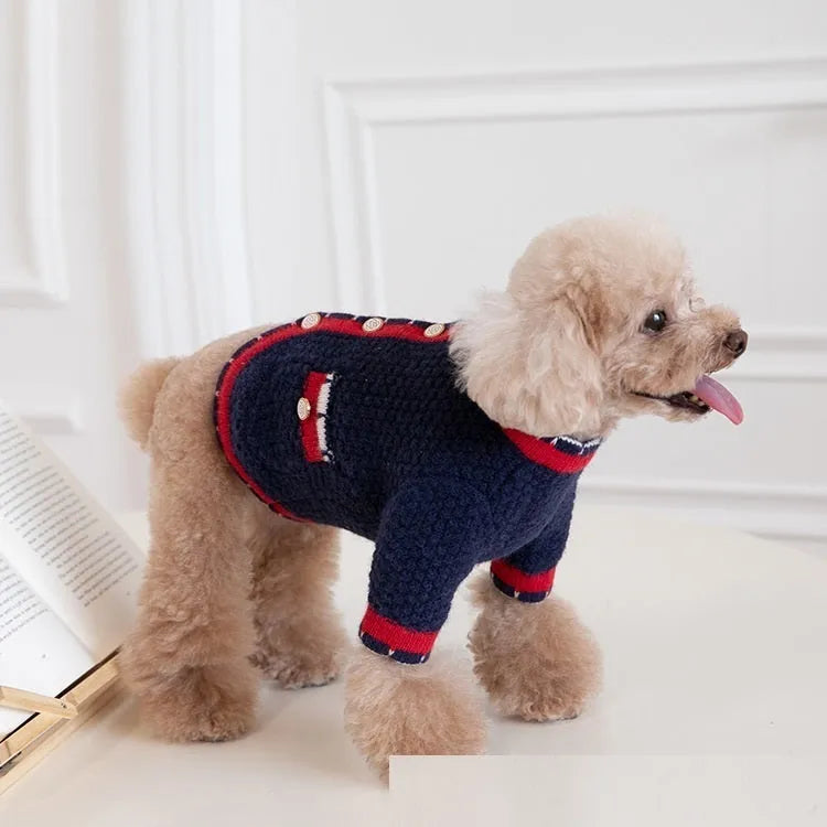Blue wool knitted dog cardigan sweater with classic princess style design shown on mannequin