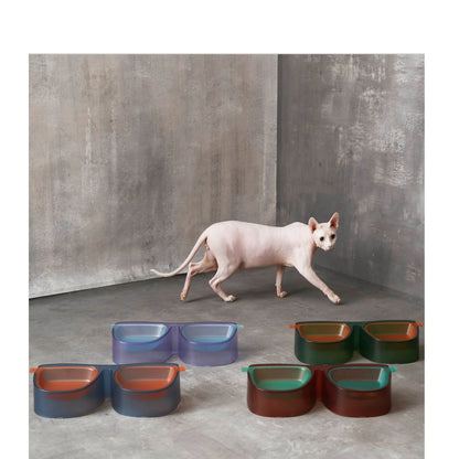 Anti-overturning double bowl for cats with 15° slant design in green, blue, purple, and red