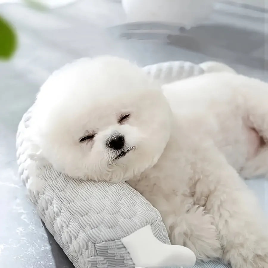 Blue pet bed cushion with big-eyed monster design, shown on a wooden floor.