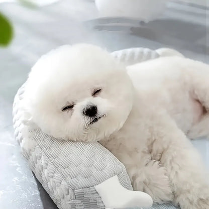 Blue pet bed cushion with big-eyed monster design, shown on a wooden floor.