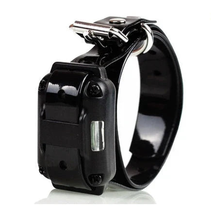 Electric dog training collar with remote control, adjustable levels, and waterproof design