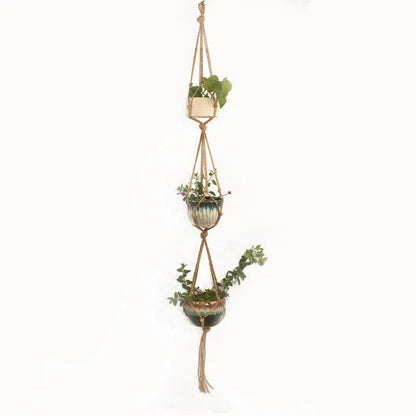 Galvanised steel wire plant basket with open grid, holding a green potted succulent on a wooden table.