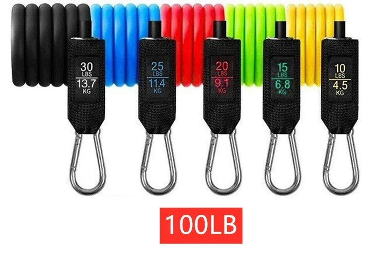 Adjustable resistance bands for full-body toning and strength training at home, featuring various resistance levels and soft foam handles
