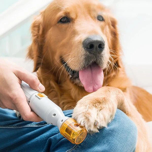 Electric pet nail grinder with safety guard for cats and dogs