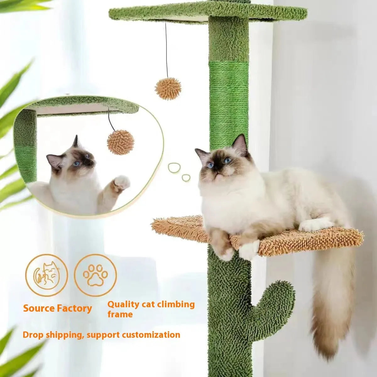 Tall natural wood cat climbing frame with integrated scratching board and enclosed cat nest
