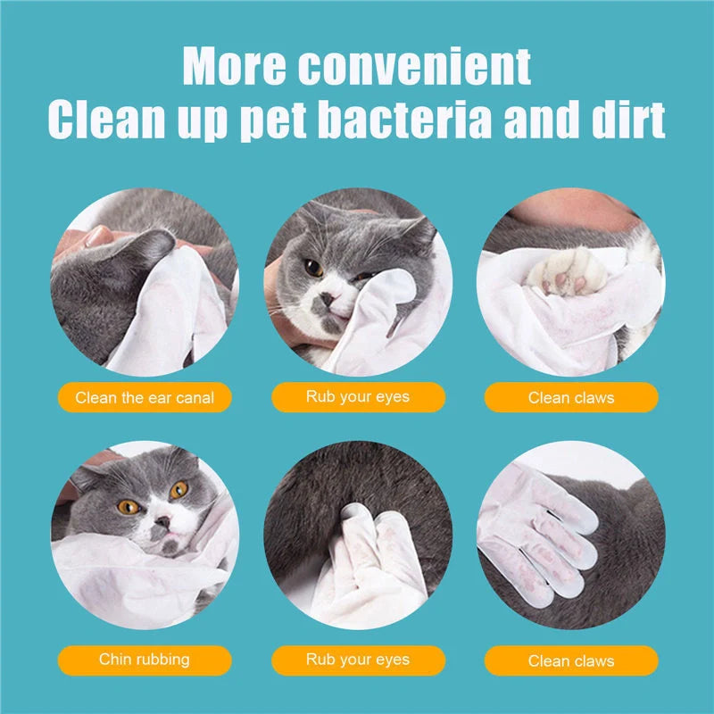 Disposable aluminium foil pet gloves for hygienic clean-up, pack of 6