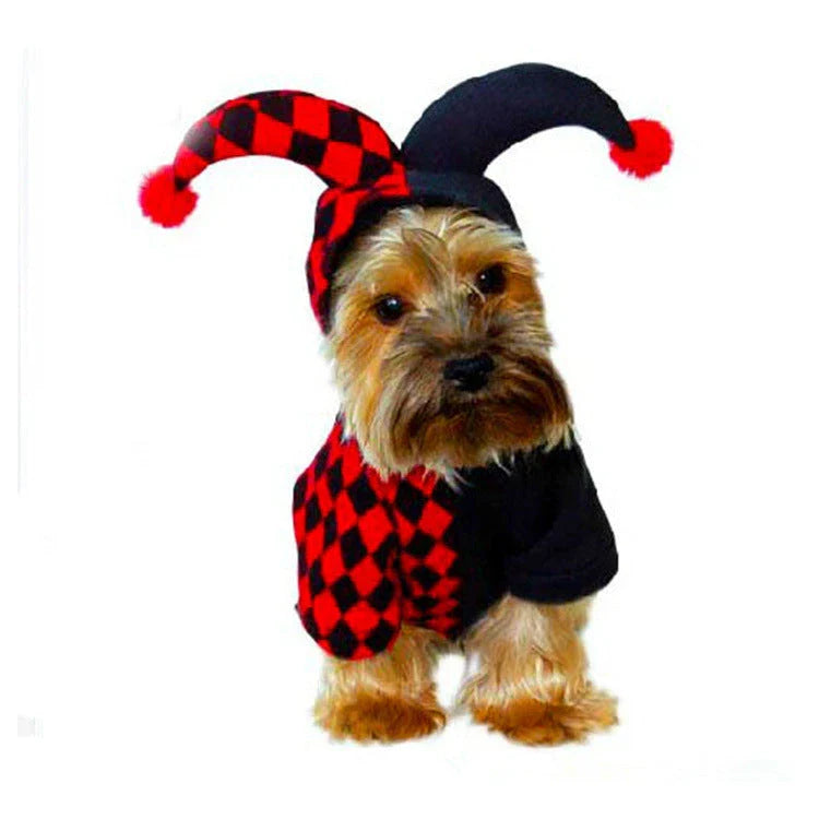 A pet wearing a clown costume with a jaunty hat, made of high-quality polyester for comfort and durability.