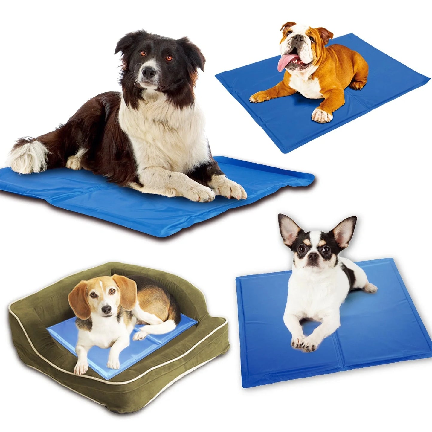 Blue dog cooling mat with pressure-activated ice crystal technology for summer heat relief