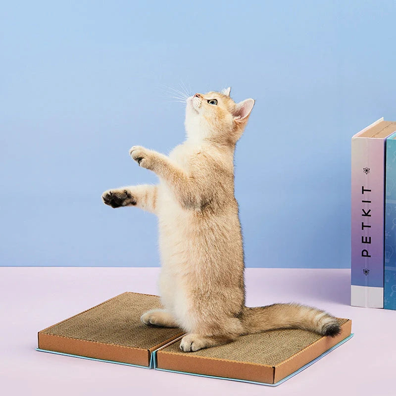 Cat Wiki Corrugated Scratching Board in sci-fi blue and dreamy purple powder