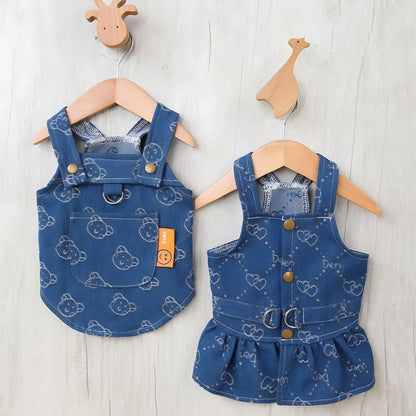 Teddy Bichon wearing denim princess dress in spring setting