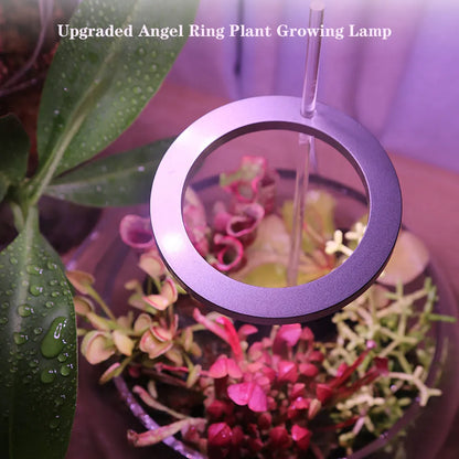 USB LED grow light with angel ring design for indoor plants showing full spectrum lighting