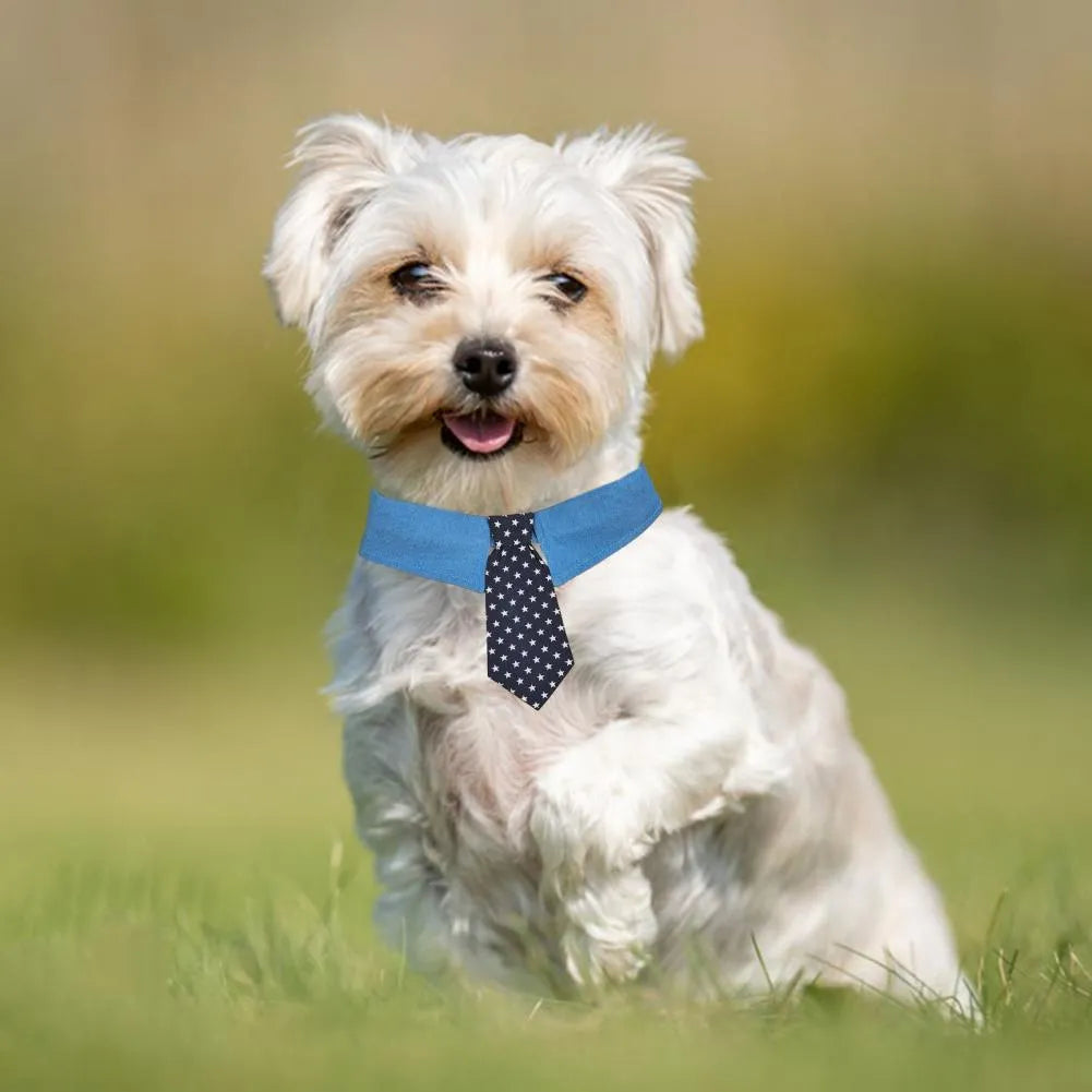 Adjustable denim pet collar with star pattern showing bow and tie styles for formal pet events