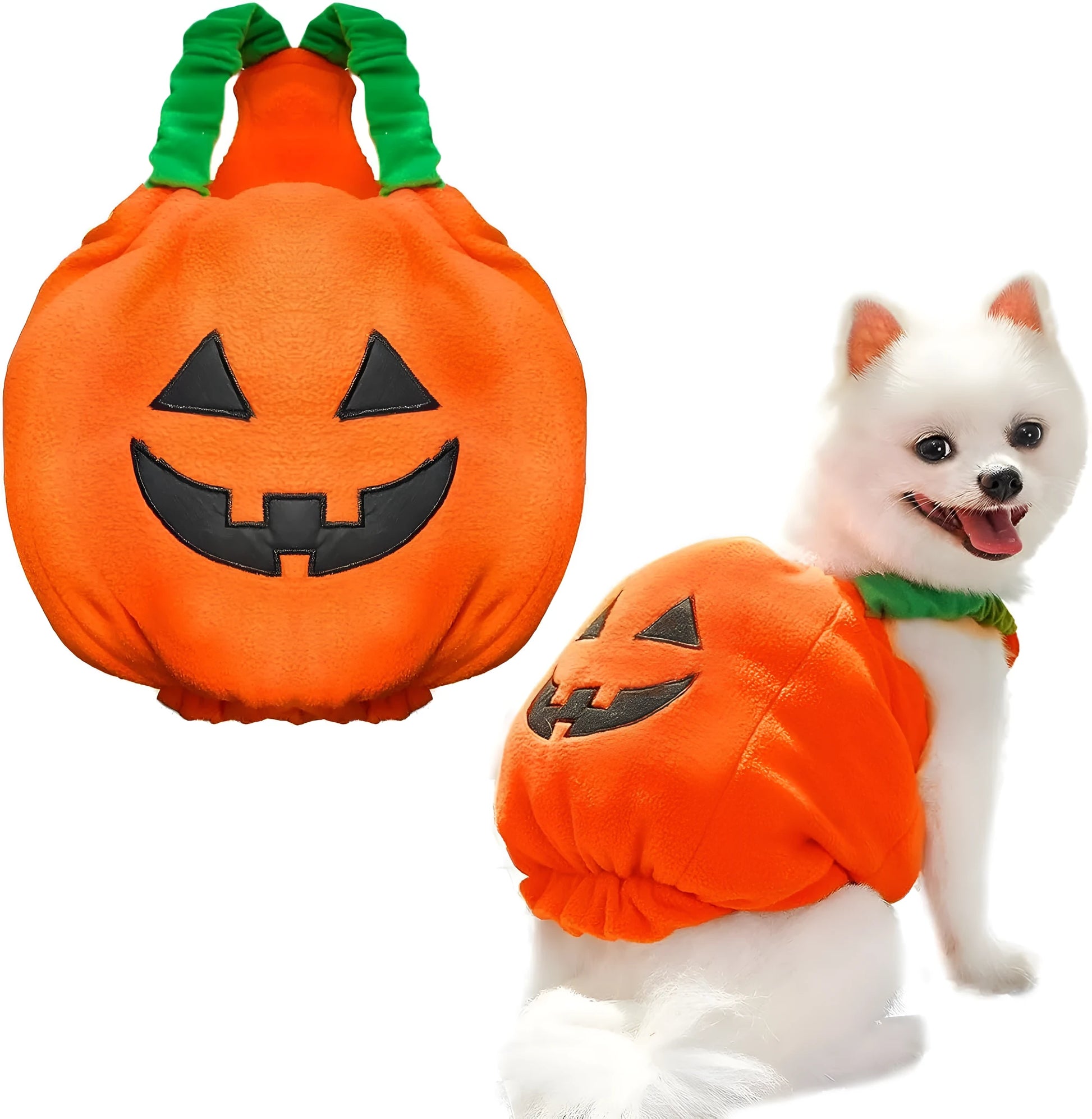 Orange plush pumpkin costume on small dog with pullover design and soft lining