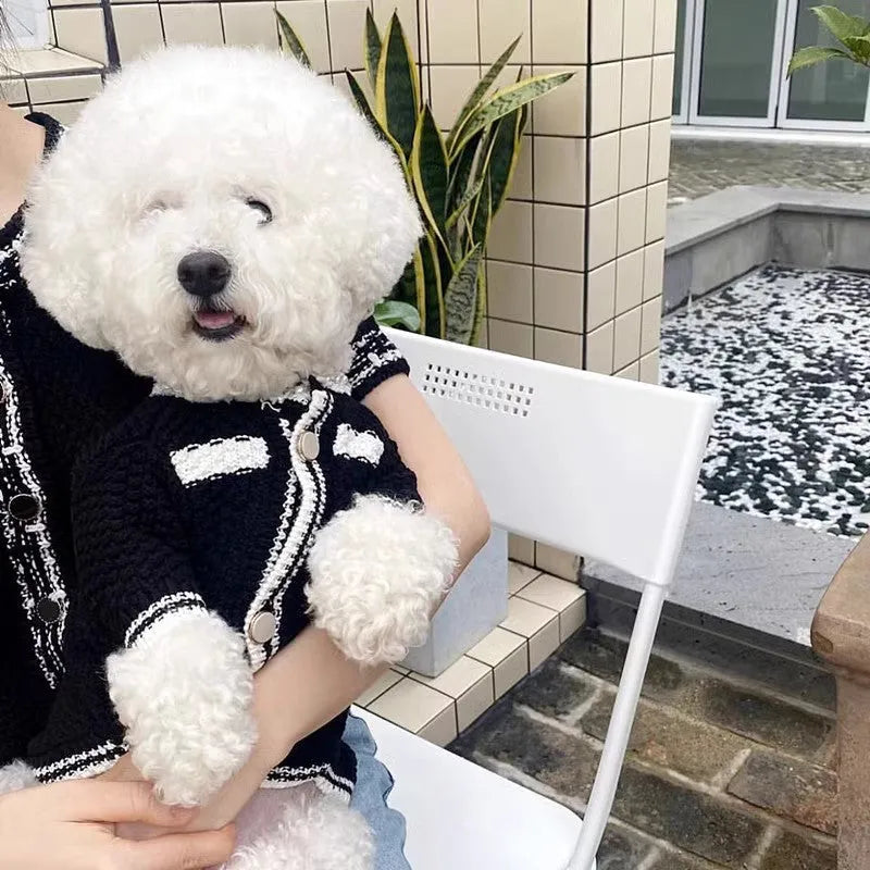 White Korean style dog sweater with pearl collar on small dog, princess cut polyester pet clothing