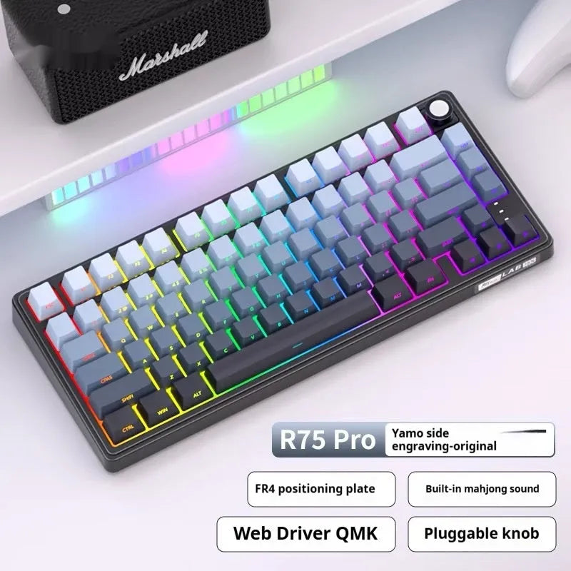 Wireless mechanical keyboard with RGB backlighting and hot-swappable key switches.