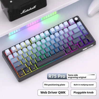 Wireless mechanical keyboard with RGB backlighting and hot-swappable key switches.