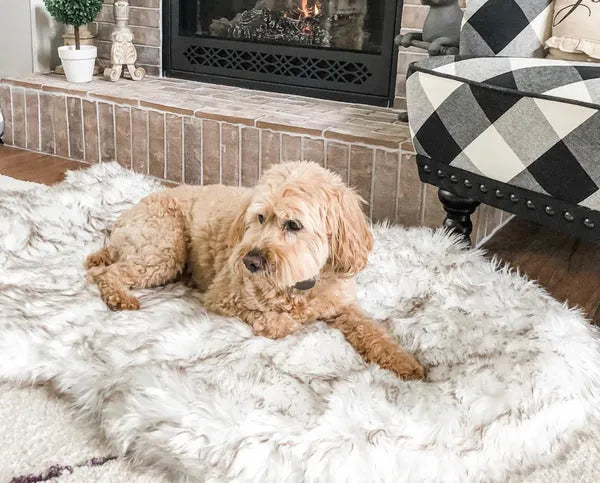 Beige plush dog mat cushion bed for large dogs, showing soft fabric texture and raised height.