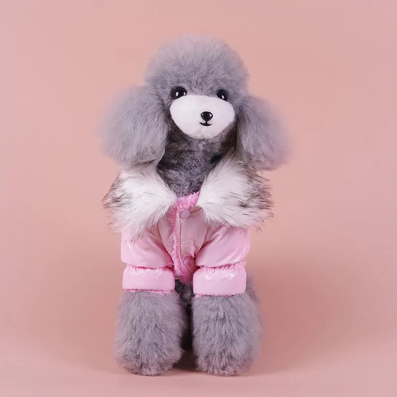 British style blue cotton dog jacket with winter padding shown on a model dog