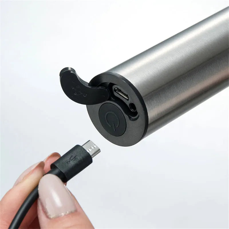 Silver handheld electric milk frother with detachable stainless steel whisk head