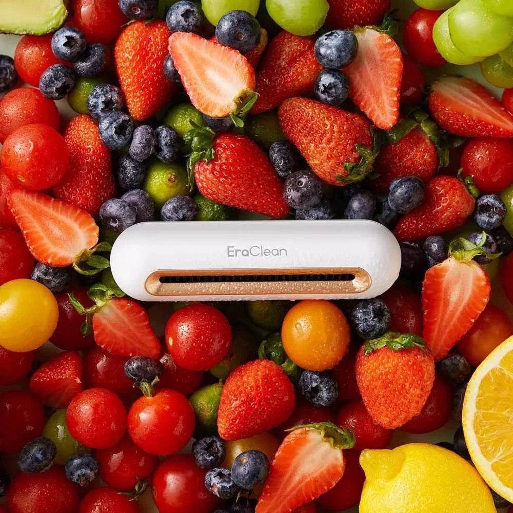 Ozone-powered refrigerator deodoriser with anti-freezing design for reliable odour elimination in cold temperatures