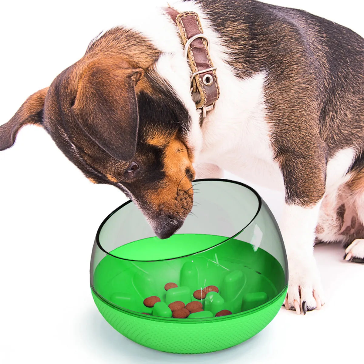Plastic slow food bowl for pets, 19 x 19 x 14 cm, shown in blue, green, and yellow options