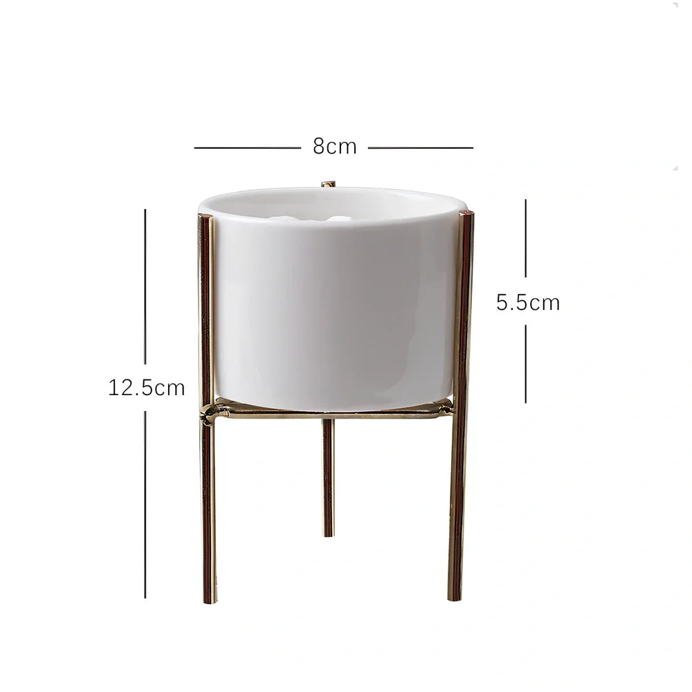 Black iron frame with white ceramic succulent flowerpot in 12.5cm and 16.5cm diameter sizes