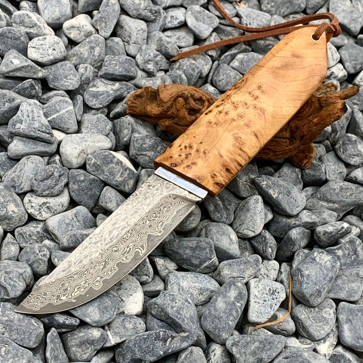 Outdoor Damascus pattern steel short knife with Thuja wood handle measuring 18cm