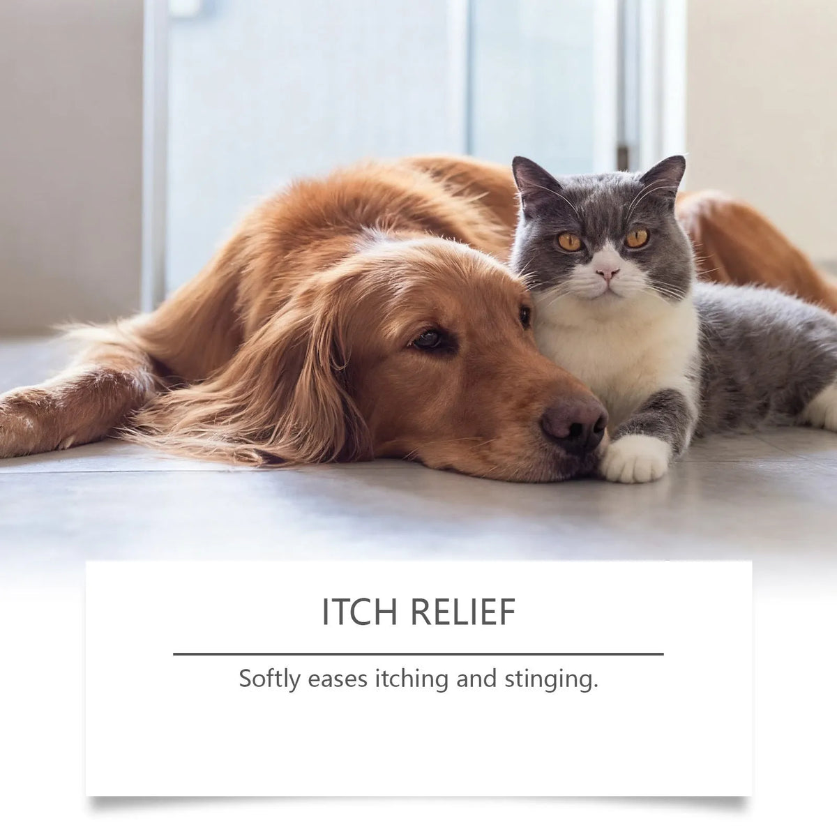 20g Pet Hydro Gel tube for dogs and cats with allantoin and panthenol soothing skin care