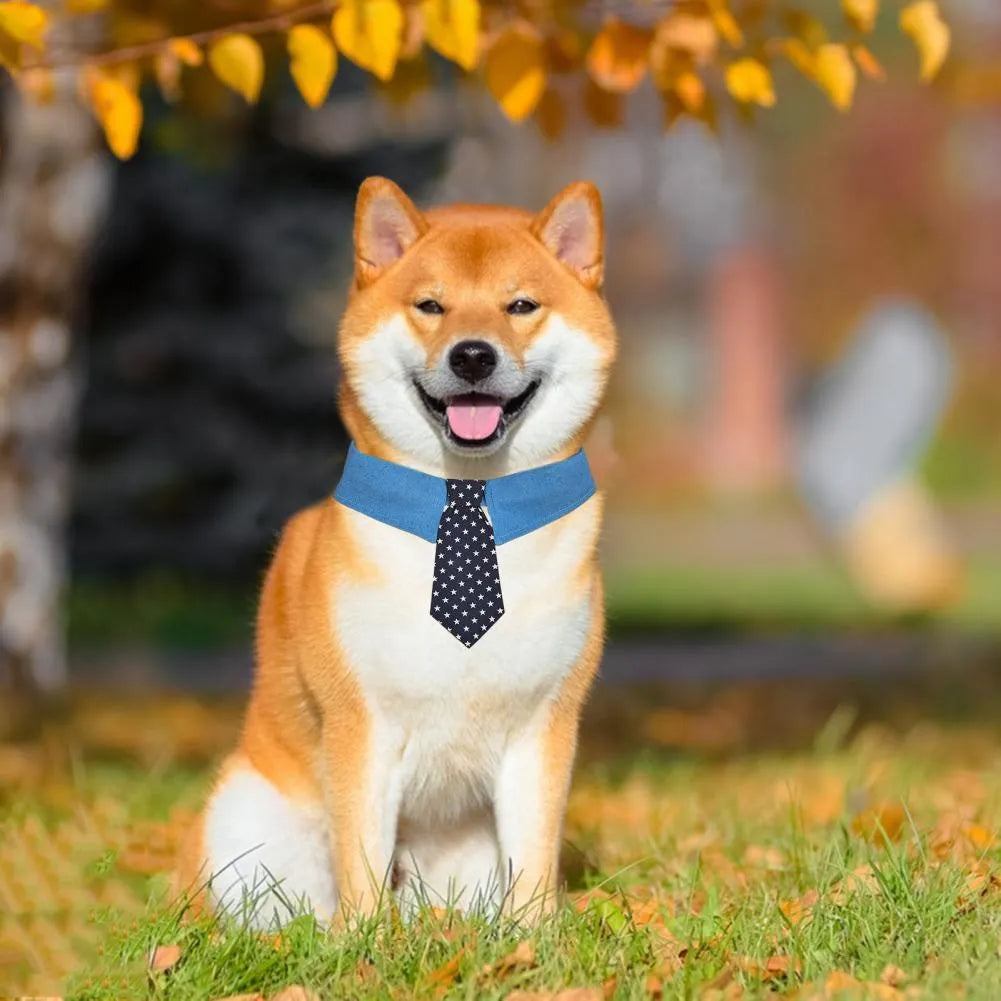 Adjustable denim pet collar with star pattern showing bow and tie styles for formal pet events