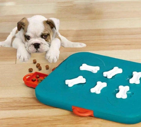 Blue casino treasure hunt puzzle food spill toy for pets