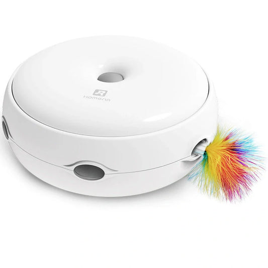 Electric cat toy with automatic donut turntable and feather accessories
