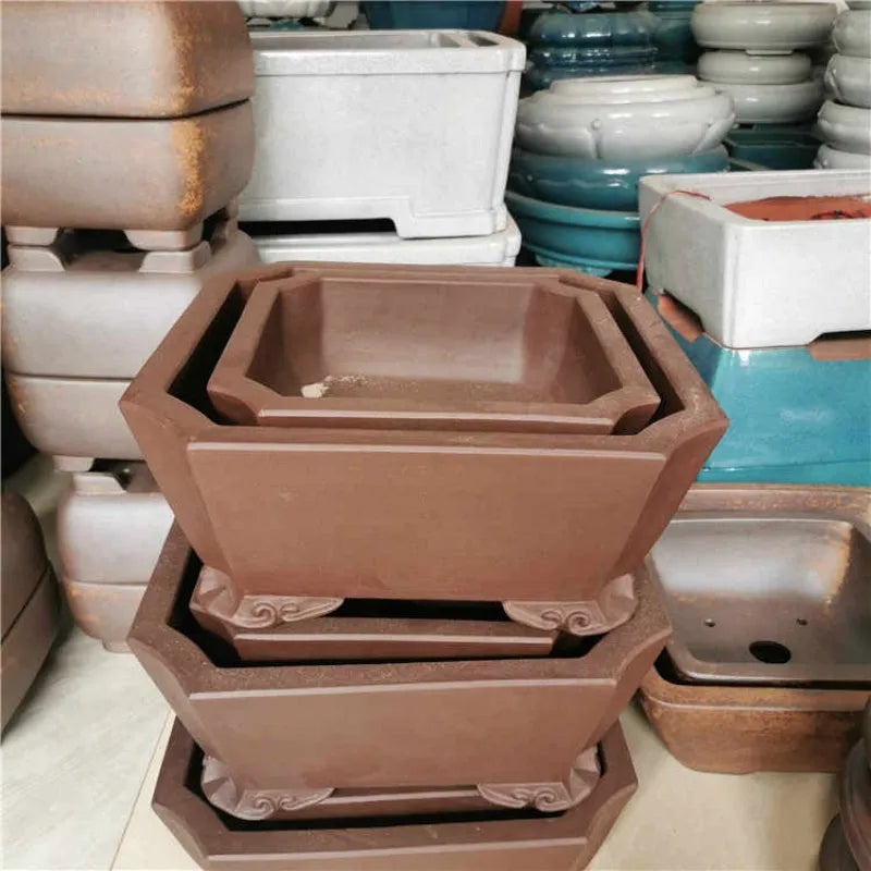 40cm square purple clay bonsai pot in brown, tree stump design, shown with plants on a tabletop