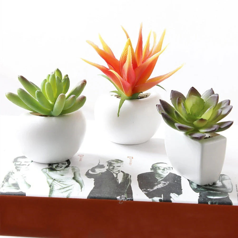 Realistic-looking succulent fridge magnets in various styles, designed to add natural charm and low-maintenance decor to any kitchen or home