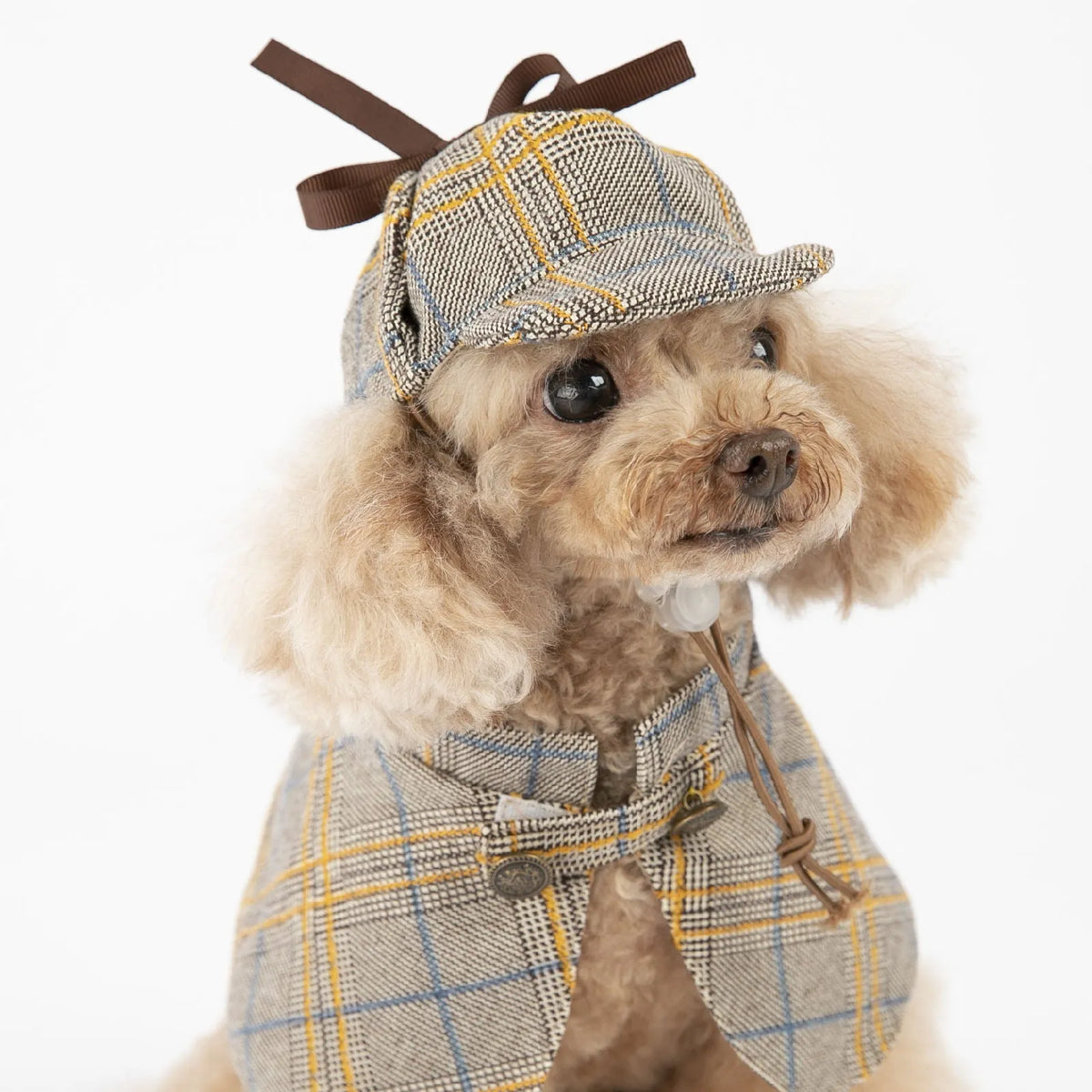 Camel coloured cotton pet cloak with adjustable hood shown in S to 3XL sizes