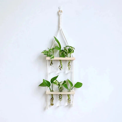 Elegant wooden hydroponic wall vase with sleek glass tube and natural bamboo and wood frame