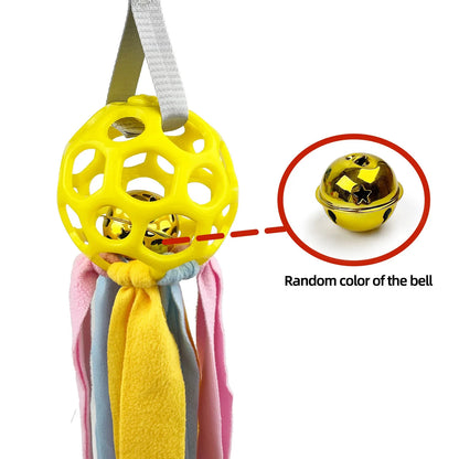 Colourful hollow TPR ball pet toy with a bell inside for dogs and cats.