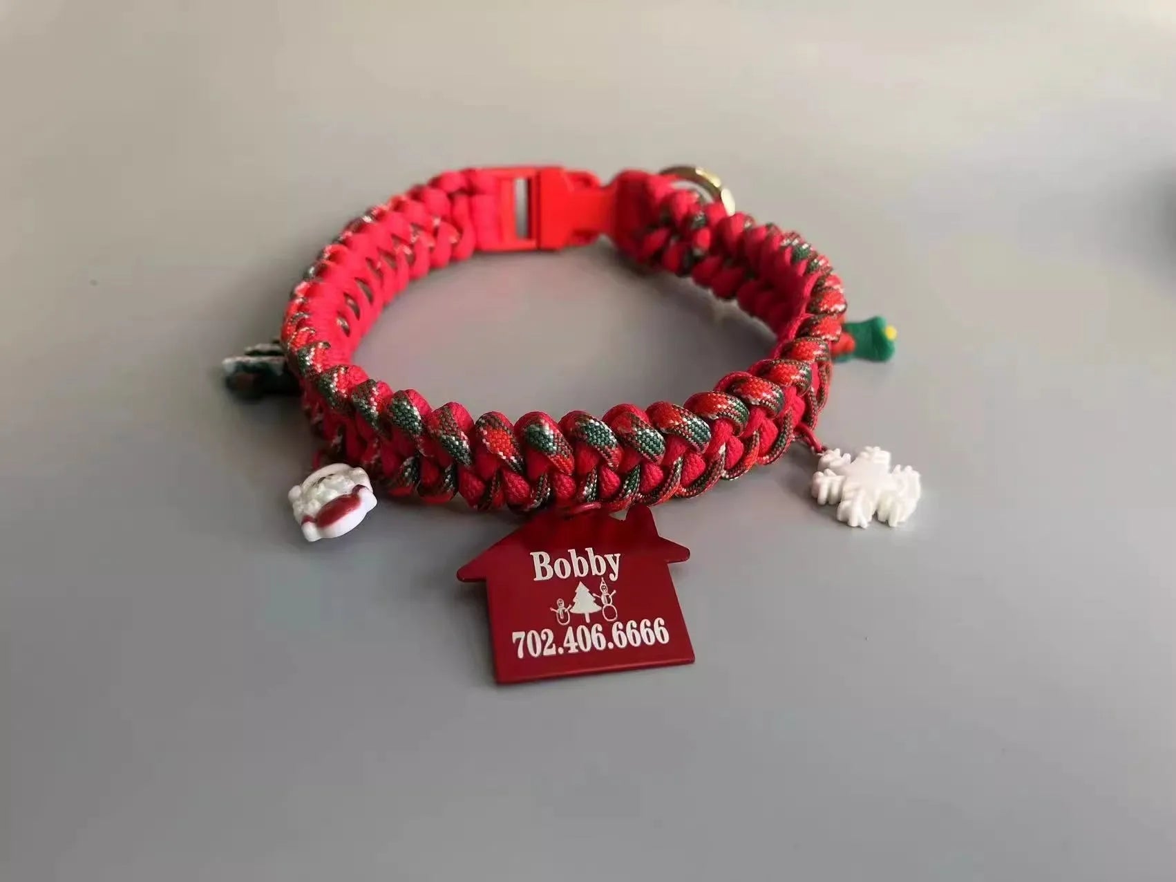 Green rope dog leash with P chain and a metal release buckle, held in a person's hand.