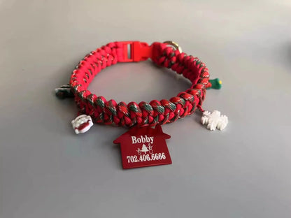 Green rope dog leash with P chain and a metal release buckle, held in a person's hand.