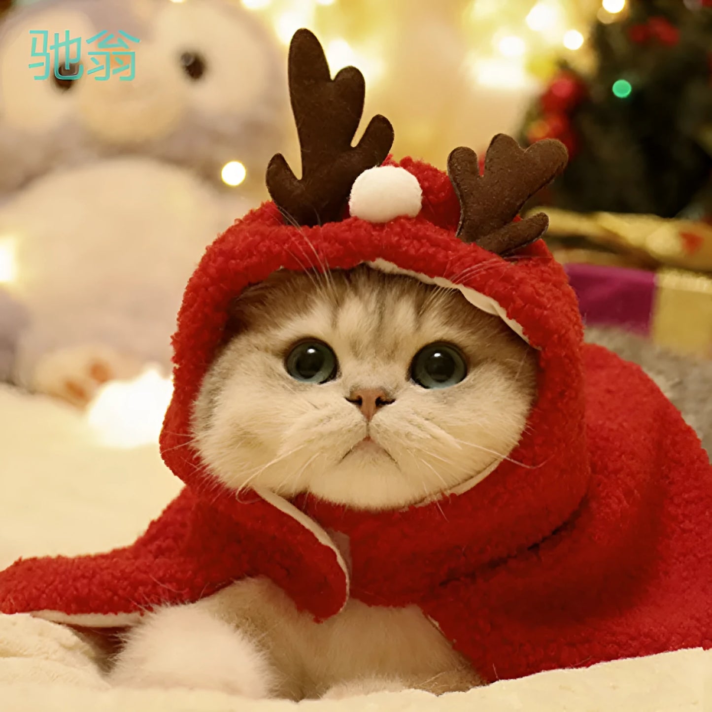 Red antlers polar fleece pet cloak on small dog with winter costume design