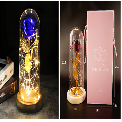Little Prince Rose Glass Cover with 20cm diameter dome protecting plastic flower arrangement