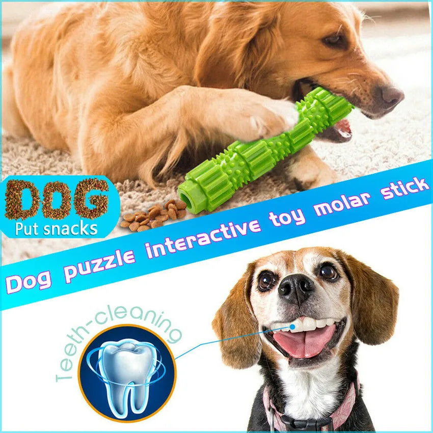 Green and orange rubber dog chew toy with treat dispensing compartment for aggressive chewing dogs
