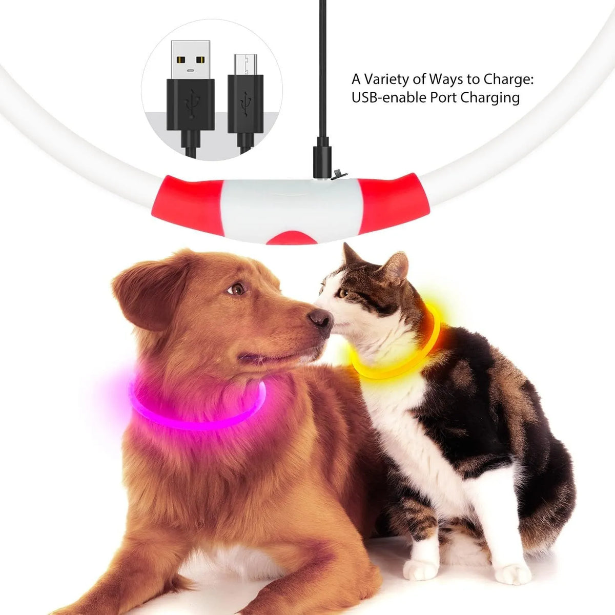 Blue USB rechargeable LED dog collar with glow lights, adjustable 70cm length for pet safety.