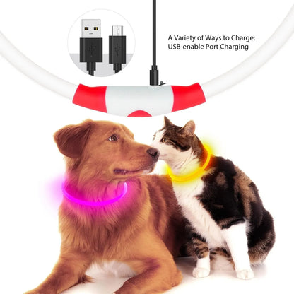 Blue USB rechargeable LED dog collar with glow lights, adjustable 70cm length for pet safety.