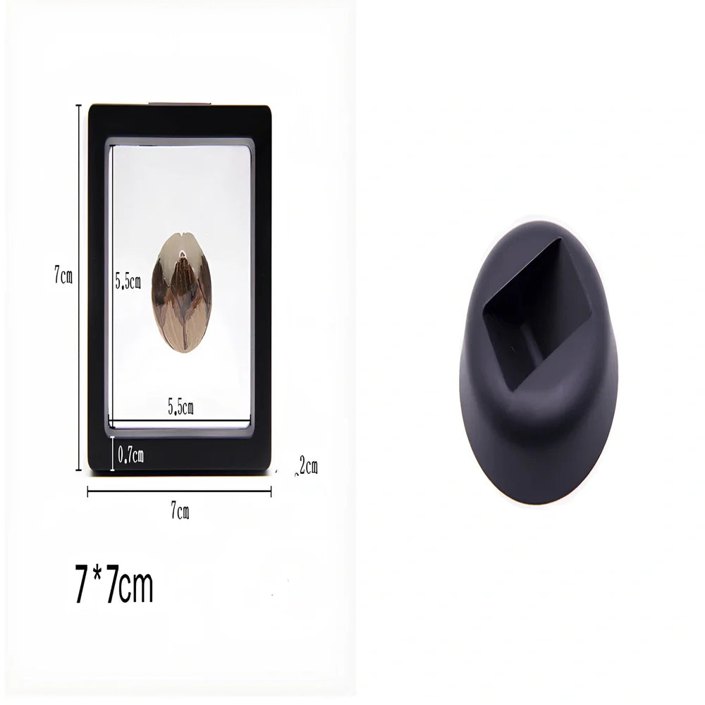 Black 11x11cm suspended 3D floating display frame holding a coin, with square base for stable collectible showcase