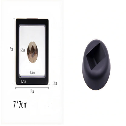 Black 11x11cm suspended 3D floating display frame holding a coin, with square base for stable collectible showcase
