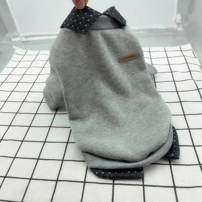 Two-piece dog sweater with detachable collar hoodie in thin velvet polyester fabric