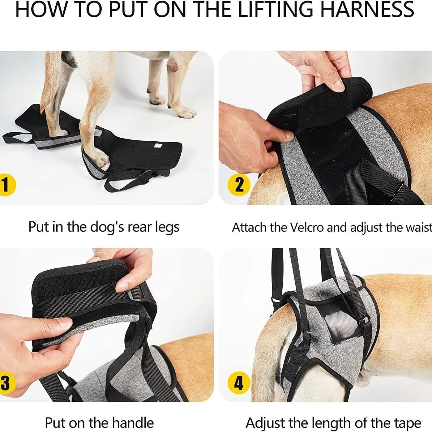 Grey neoprene recovery support belt for a dog's rear legs, showing adjustable waist and thigh straps.